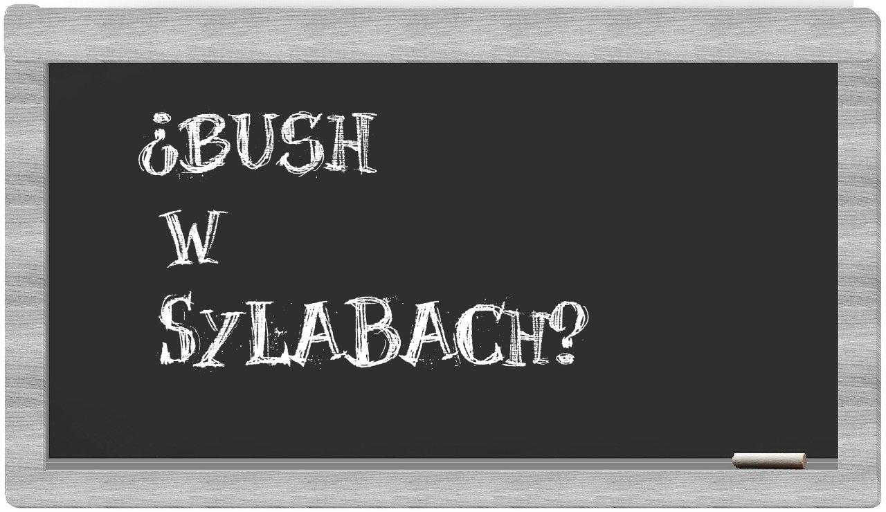 Bush in syllables