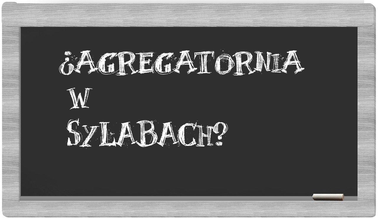 agregatornia in syllables