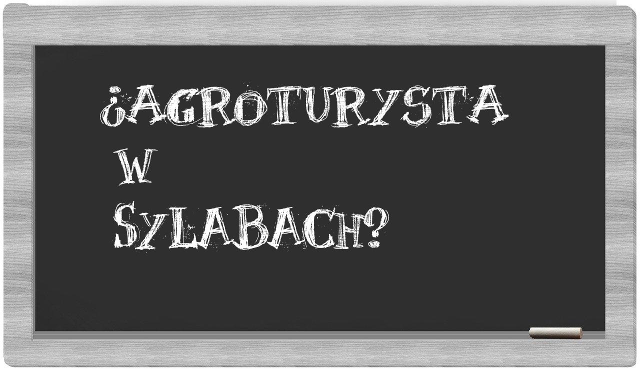 agroturysta in syllables