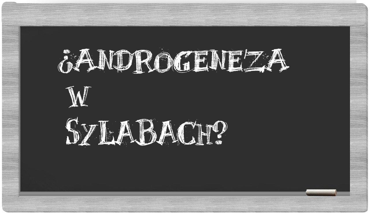 androgeneza in syllables