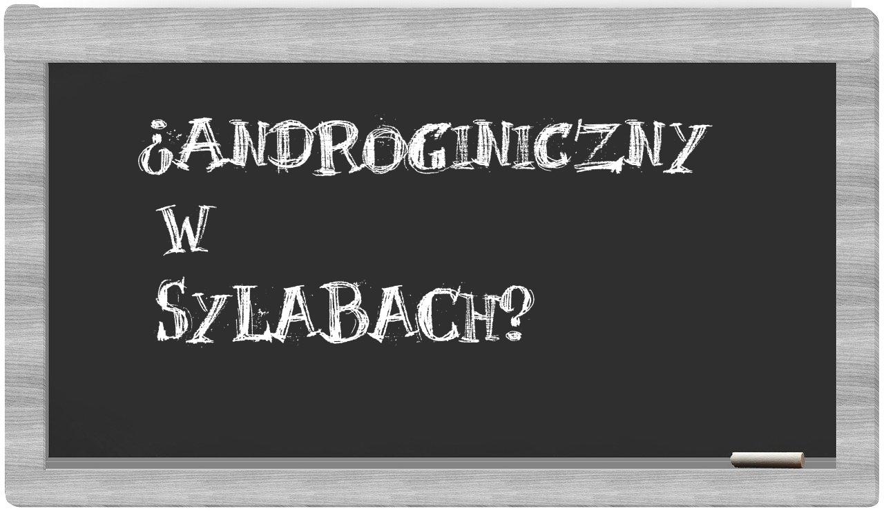 androginiczny in syllables
